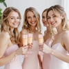 image:imageWDF 36PCS Pink Champagne Flutes Plastic  6 OZ Pink Glitter Disposable Champagne Flutes for WeddingBirthdayPartiesBridal ShowerSummerPink